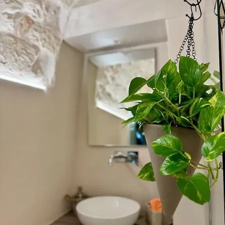 Domus Alba 6 *