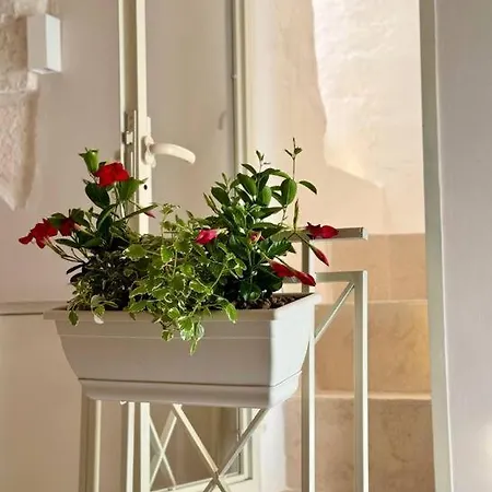 Domus Alba 6 * Ostuni